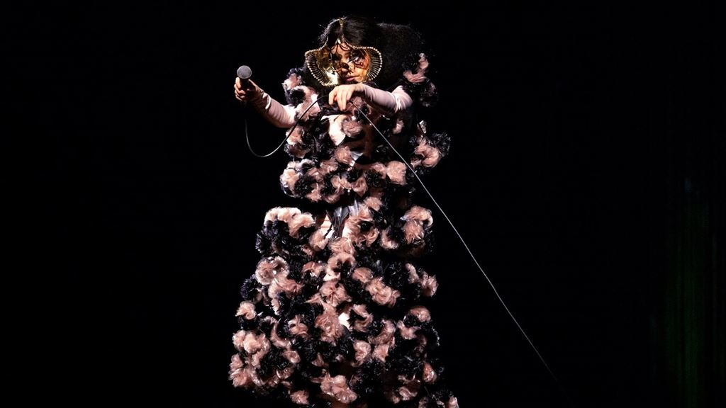 Bjork---Photo-credit-Santiago-Felipe