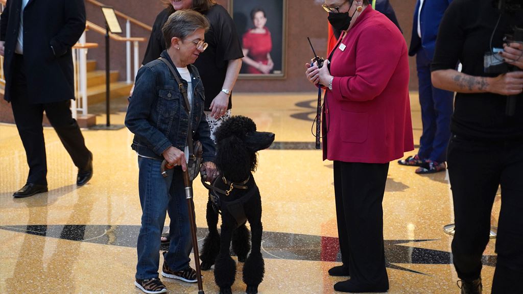 Patron with black poodle service animal talking to volunteer